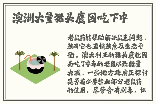 蜜芽新转址2023蘑菇